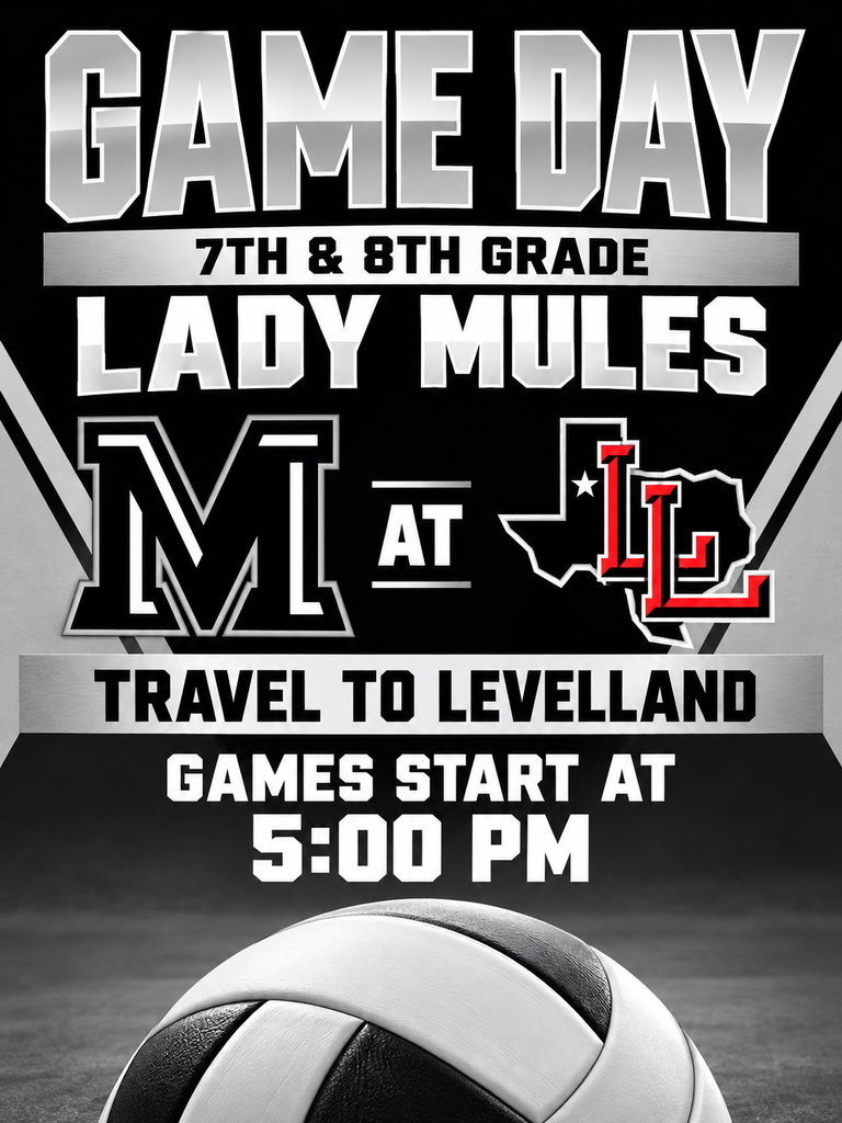 26.10.08 - WJH Lady Mules VS Levelland (English)