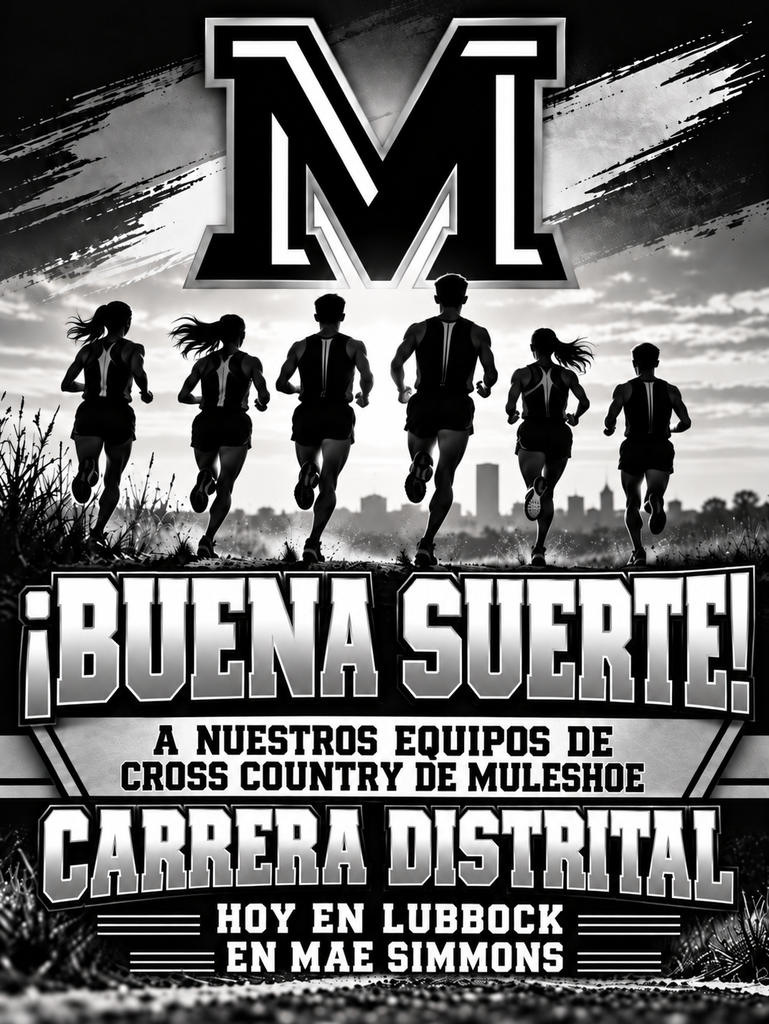 26.10.14 - Cross Country District (Spanish)