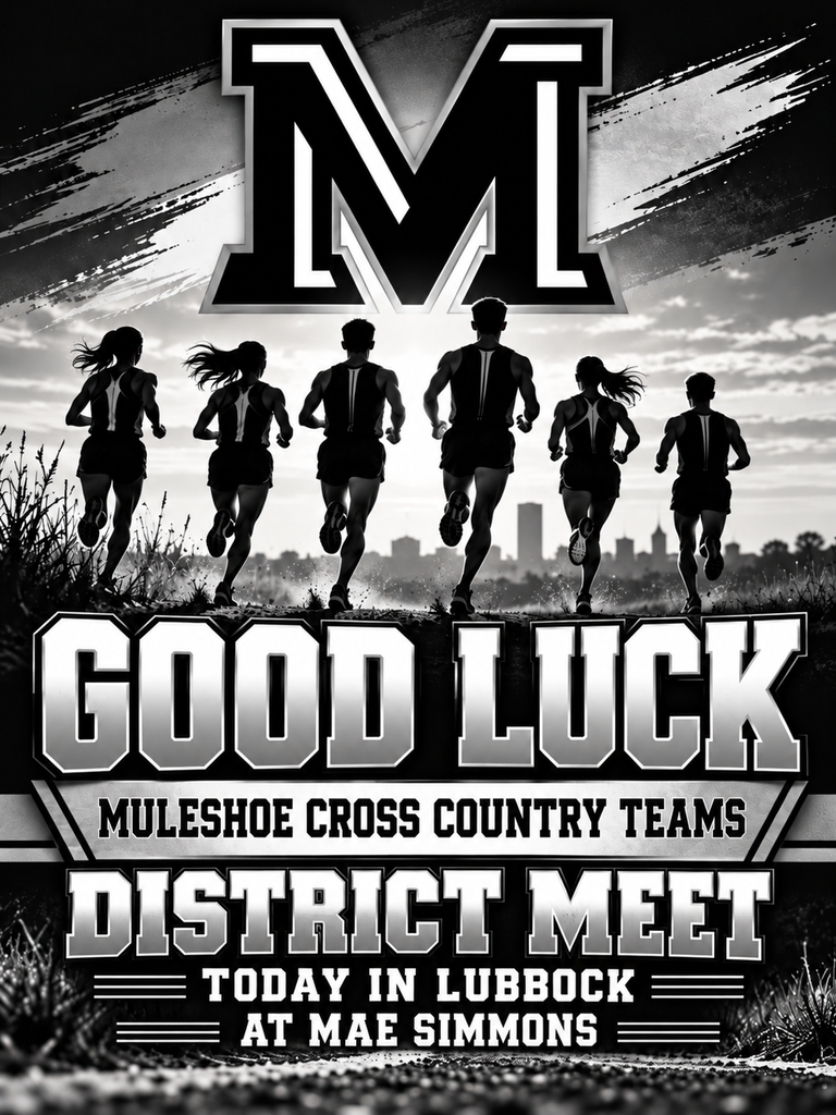 26.10.14 - Cross Country District (English)