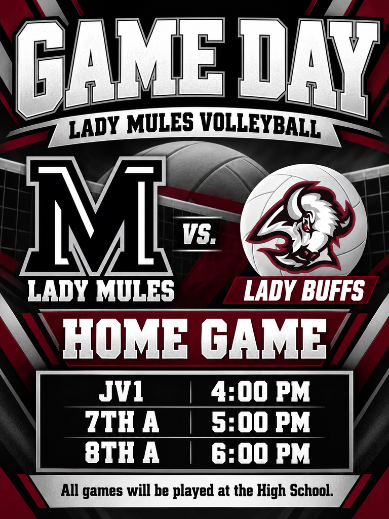 26.10.15 - Volleyball Game Day (English)