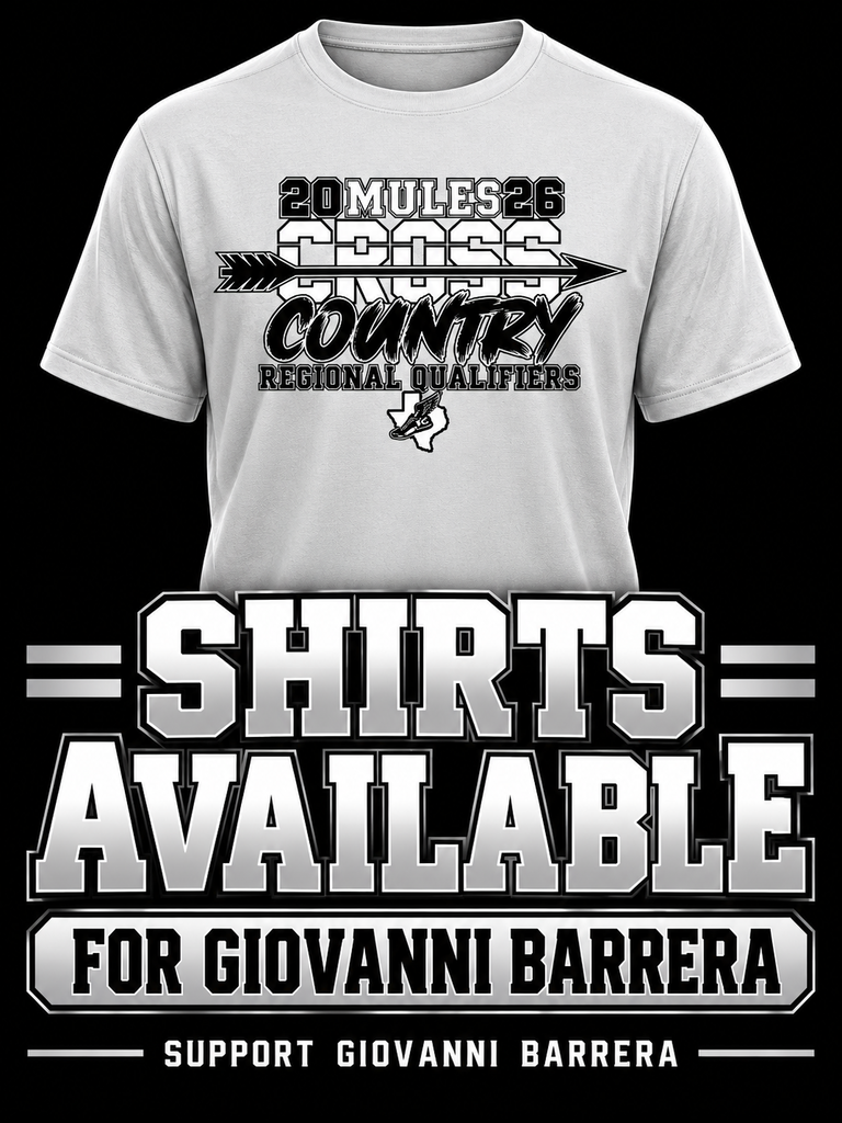 26.10.20 - Shirts for Giovanni (English)