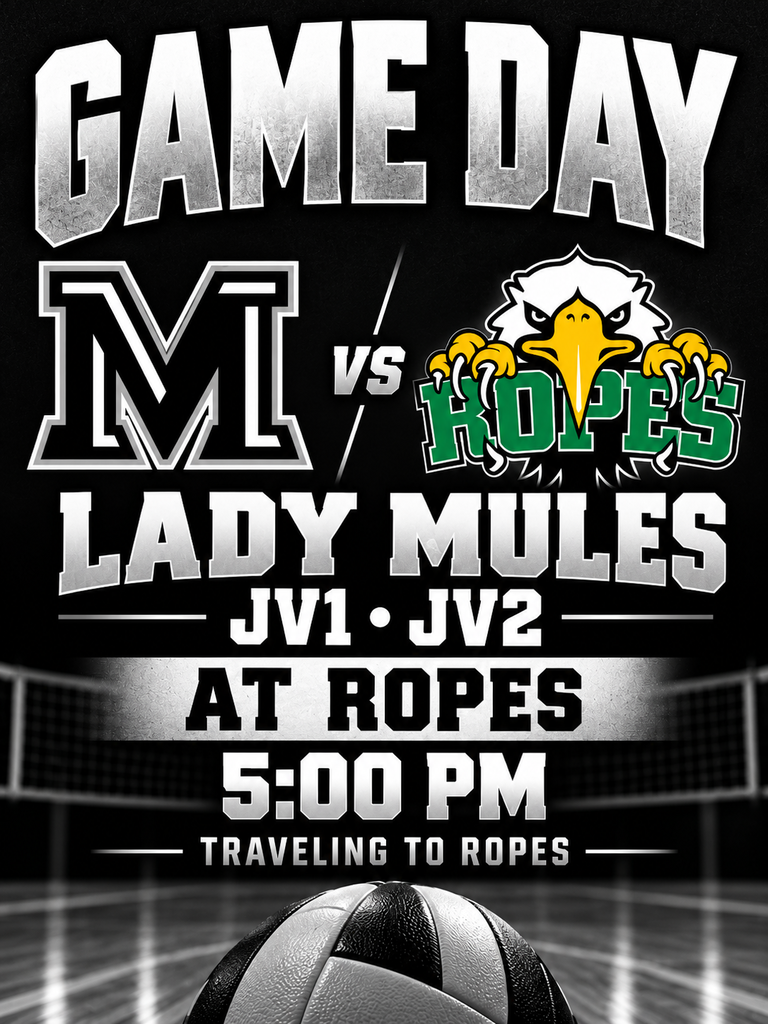 26.10.20 - Volleyball Game Day Graphic (English)