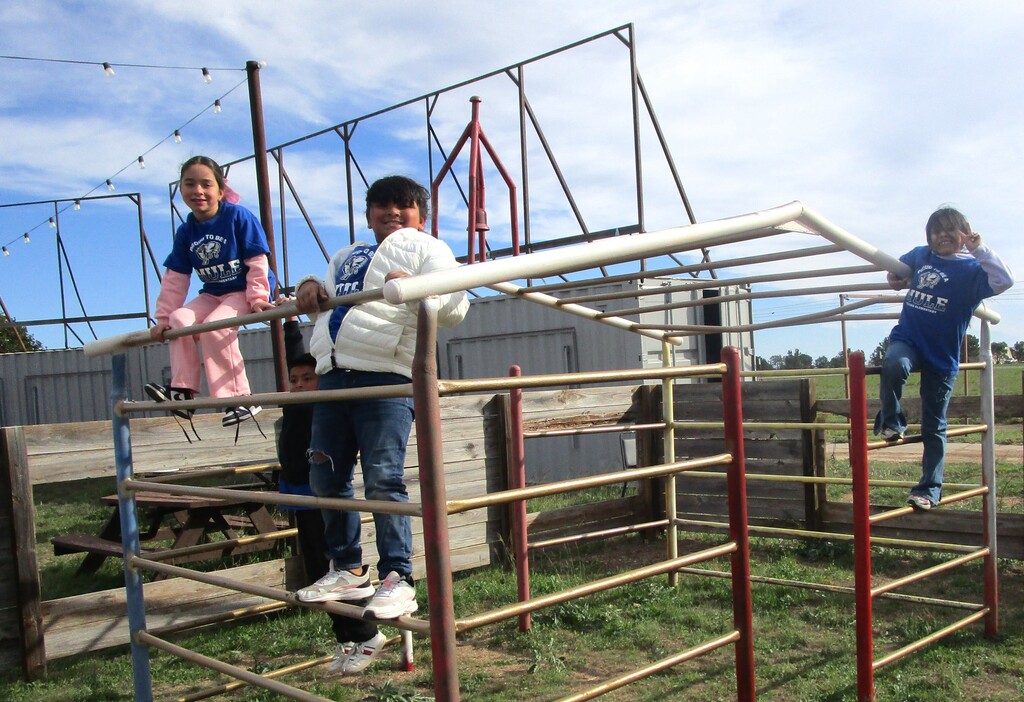 26.10.28 - Dillman 2nd Grade Field Trip part 2