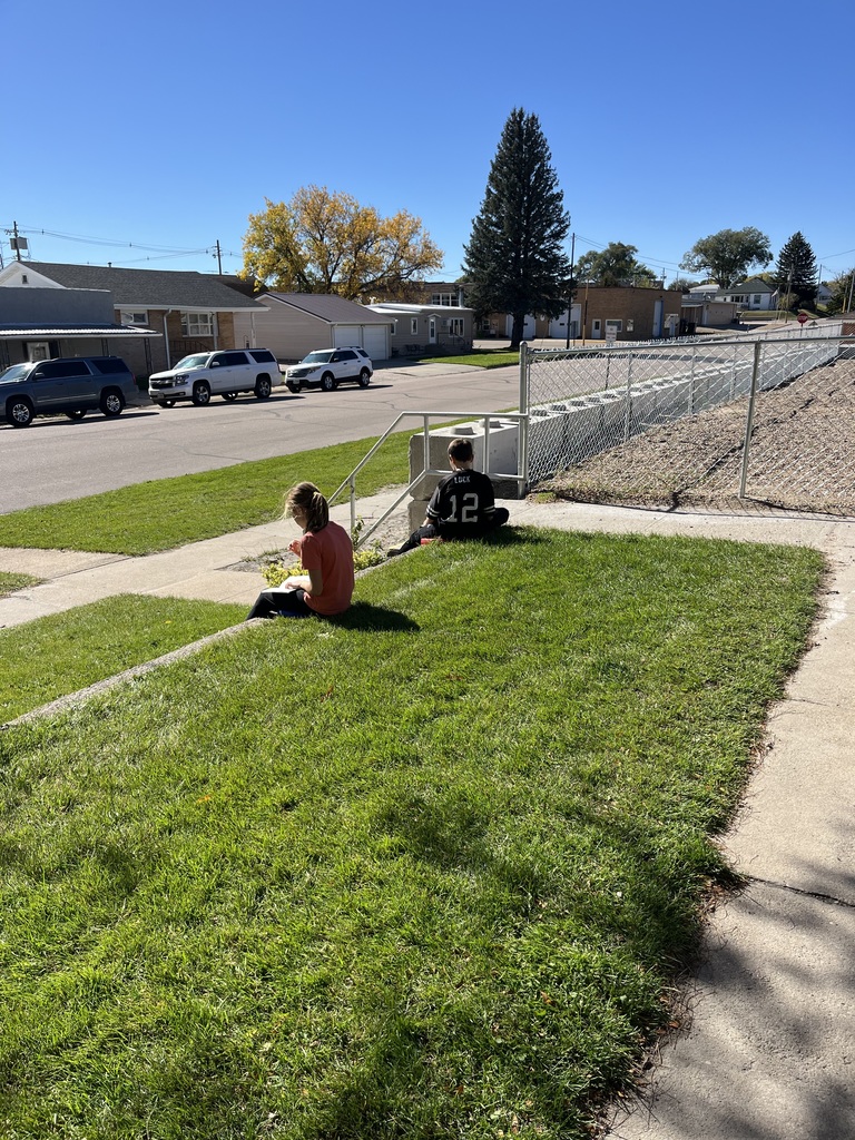 students reading outside