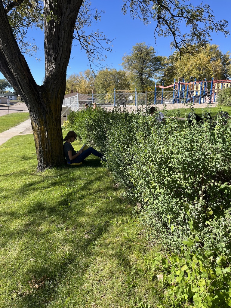 students reading outside