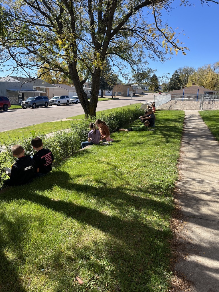 students reading outside