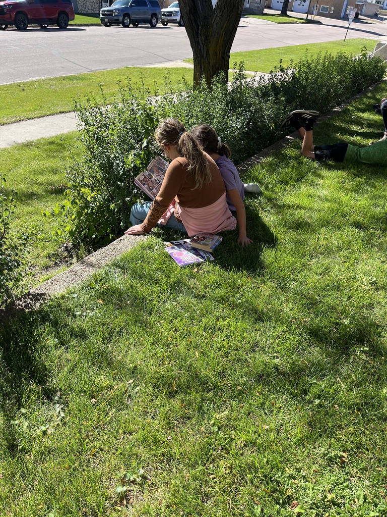 students reading outside
