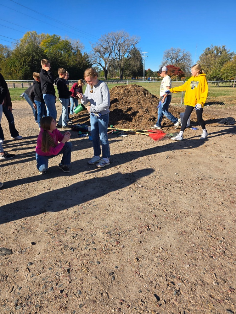 mulch 2