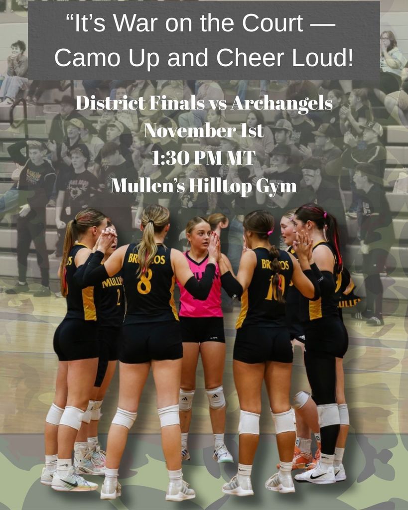 District Volleyball Information