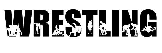 Wrestling Image