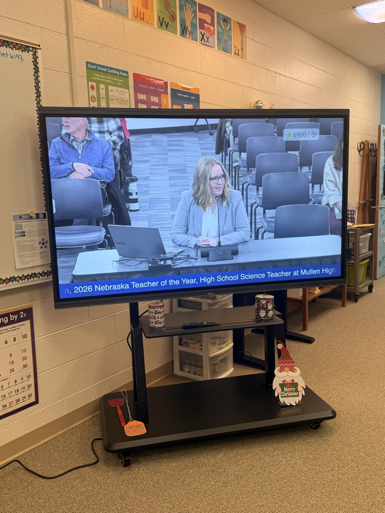 Sarah Hardin - introduction at NDE