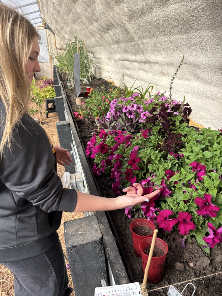 Hayley releasing butterflies 