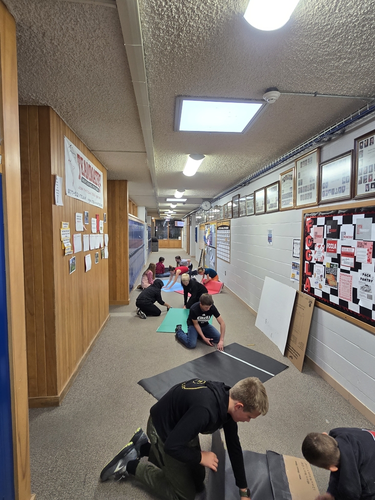 covering trifolds in paper