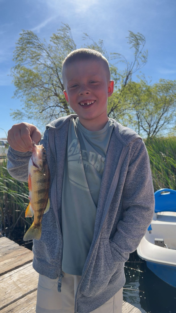 Finn