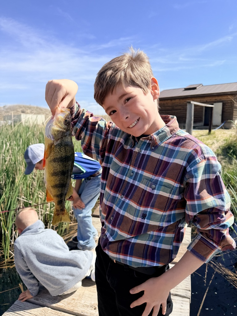 Biggest Perch of the Day