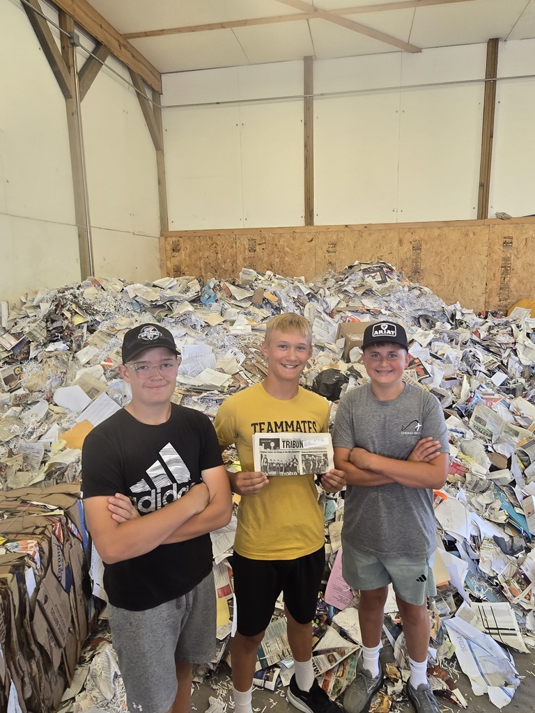 recycling 