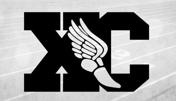 XC Image