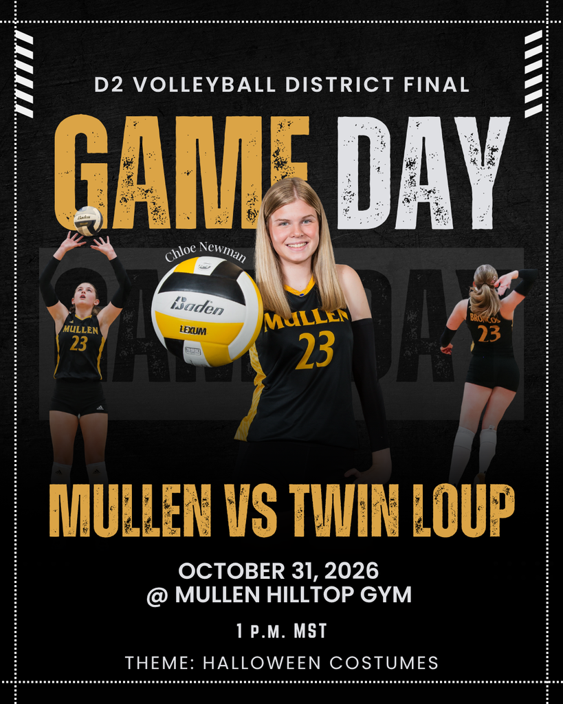 Volleyball Game Information