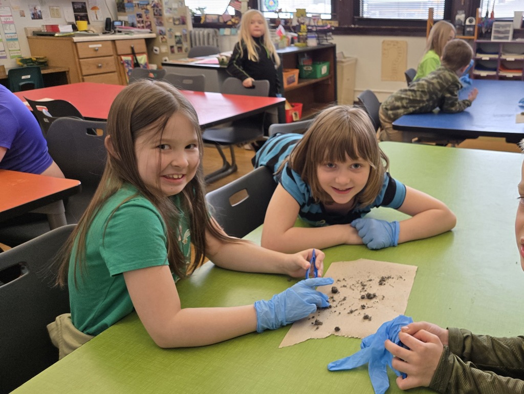 Science with Mrs. Murk