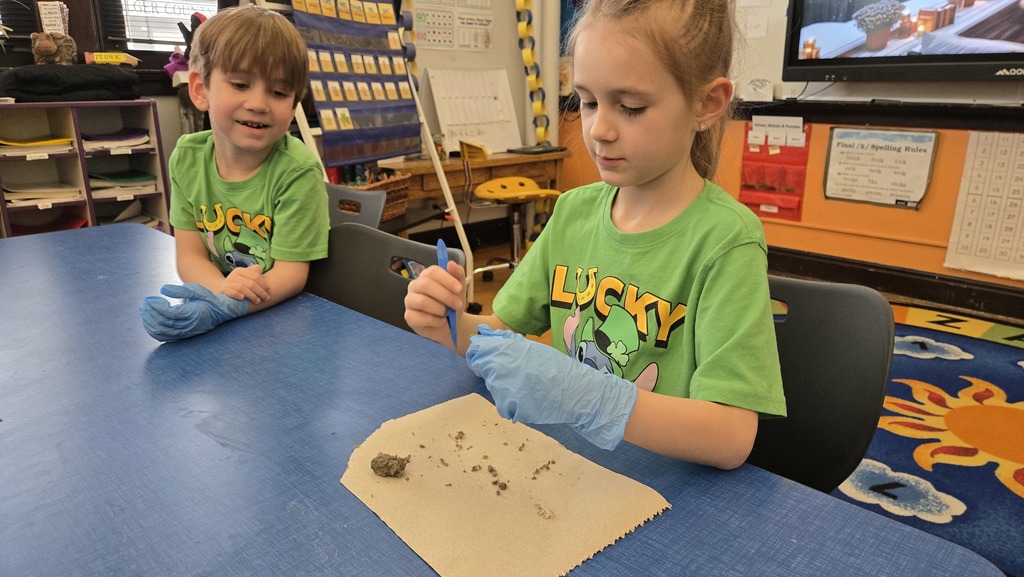Science with Mrs. Murk