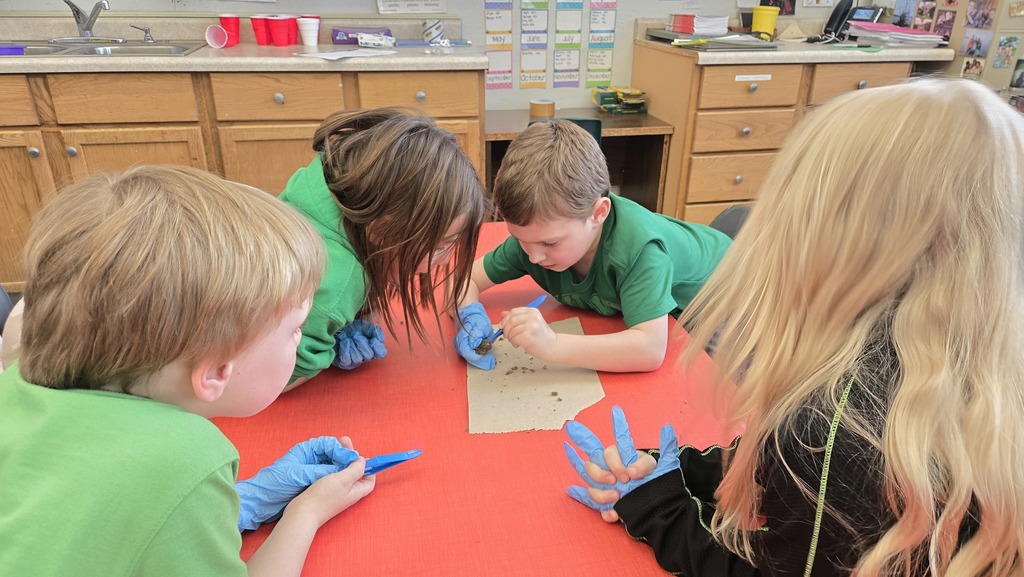 Science with Mrs. Murk