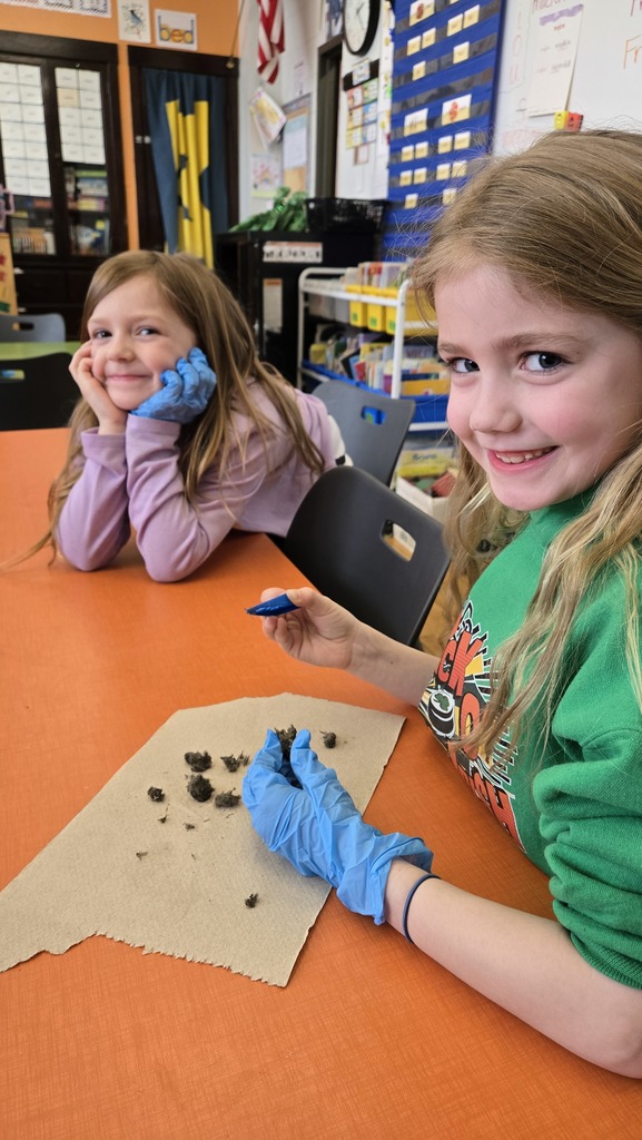 Science with Mrs. Murk