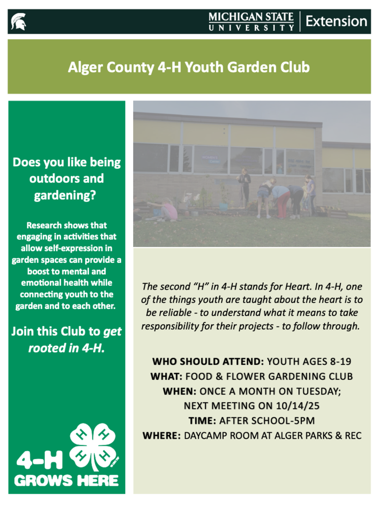 4-H
