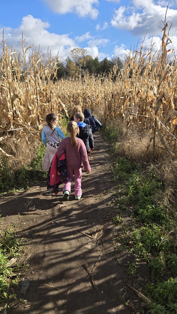 1st Grade Field Trip