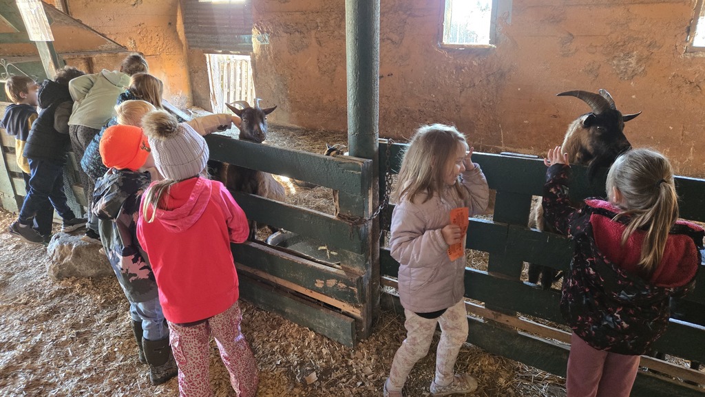 1st Grade Field Trip