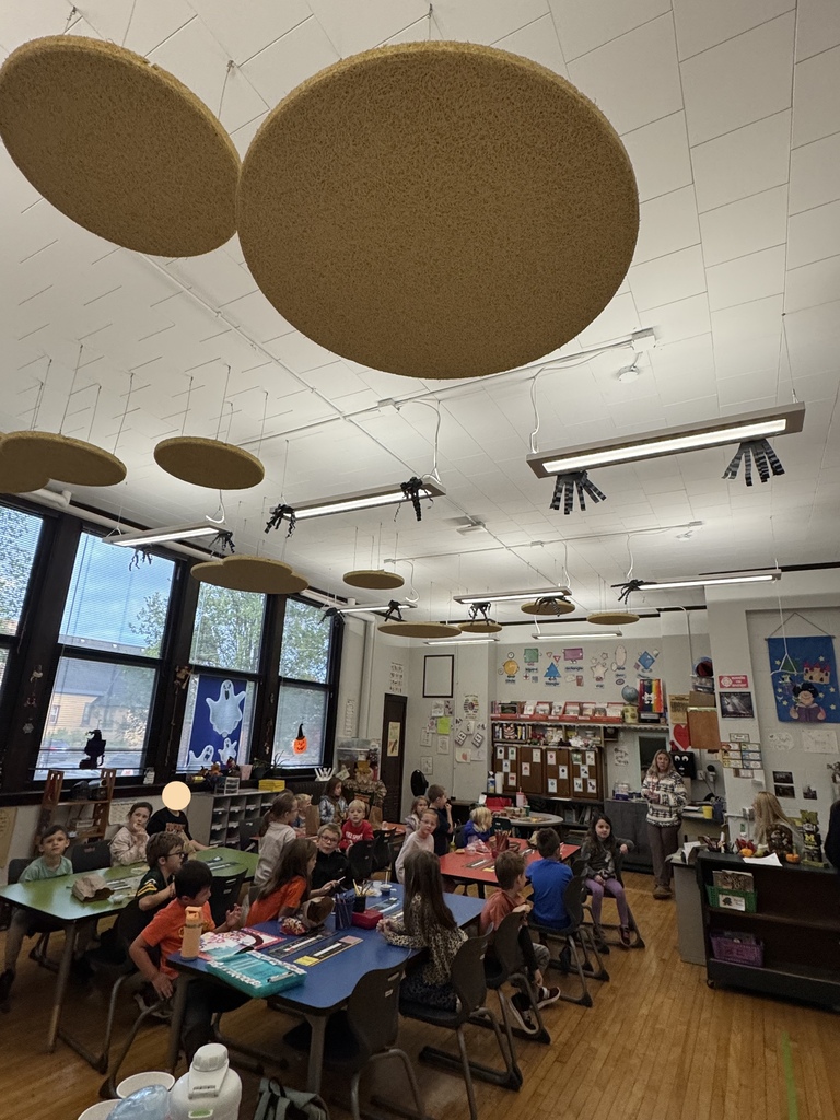 SPIDER INVASION IN FIRST GRADE!