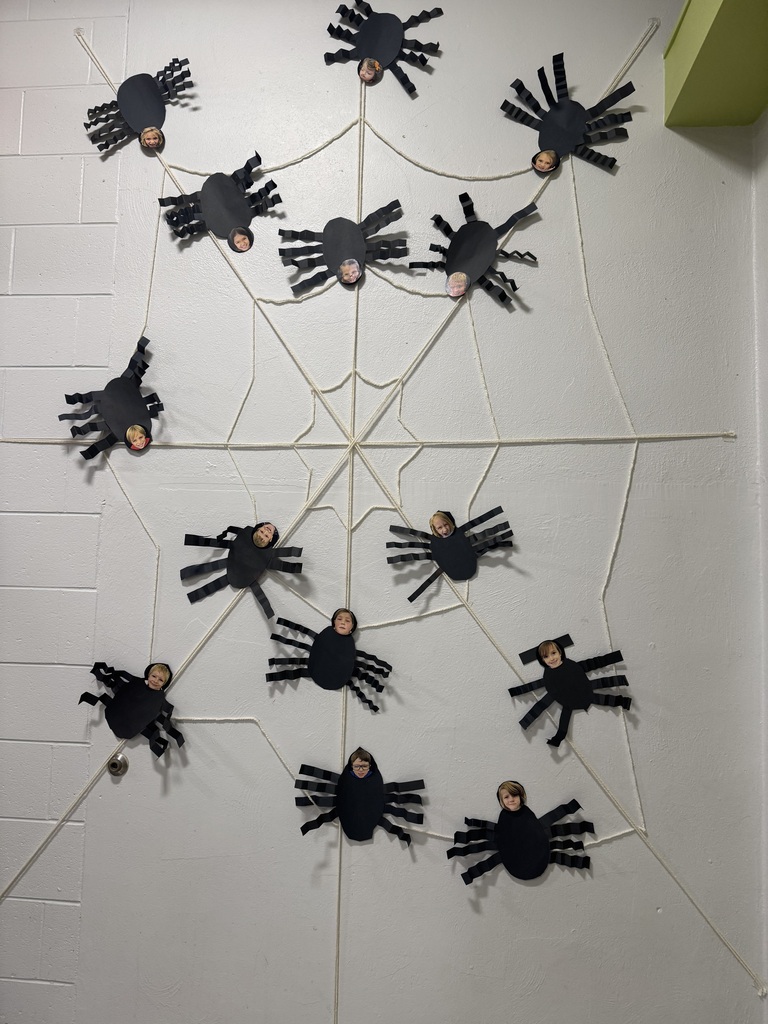 SPIDER INVASION IN FIRST GRADE!