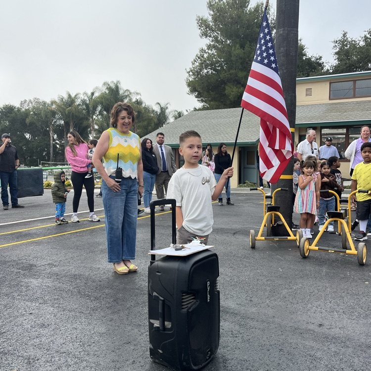 flag salute 