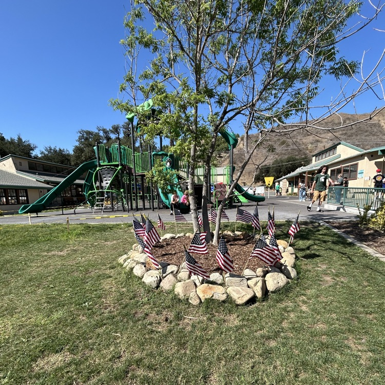 flags around tree