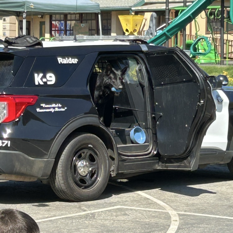 K-9 unit