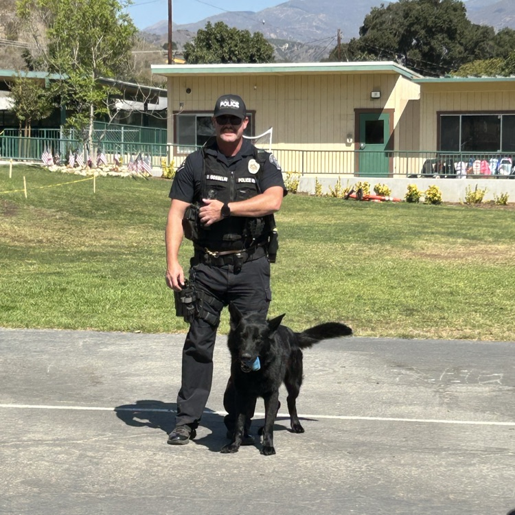 Raider the K9 police dog 