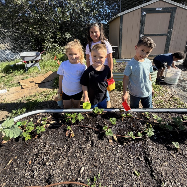 TK/K Gardening