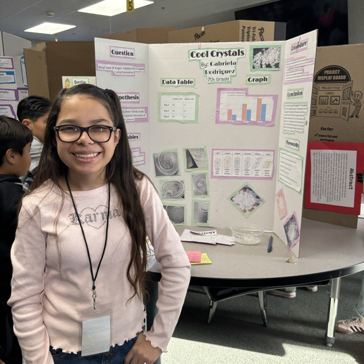 7th Mupu Science Fair! 🧪 🧫 