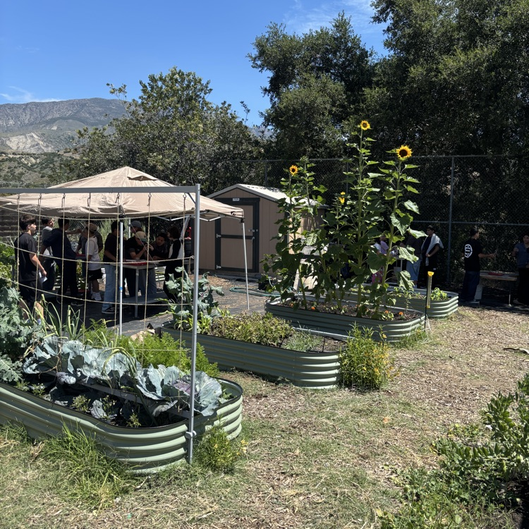 7th garden
