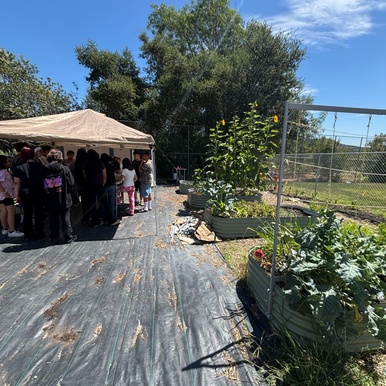 7th garden