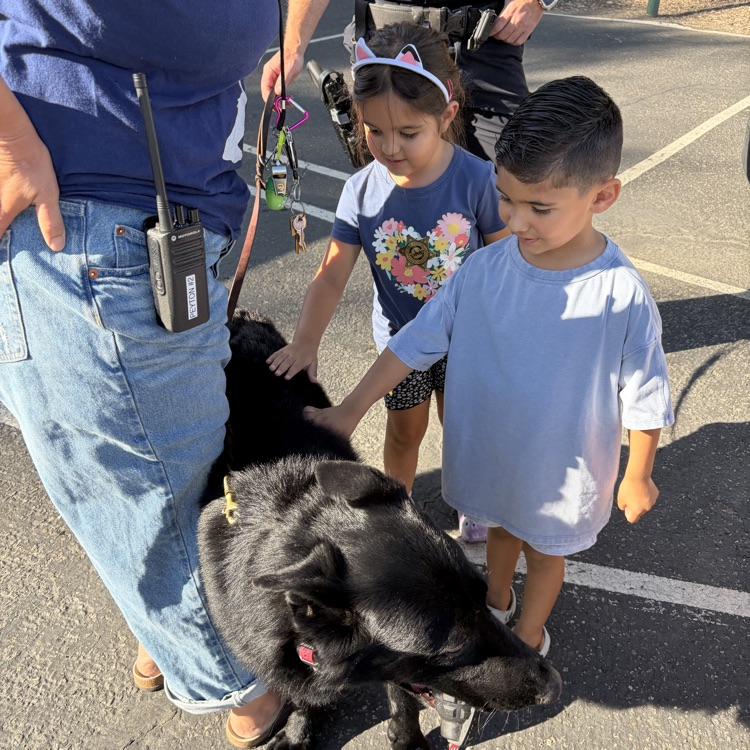 petting K9
