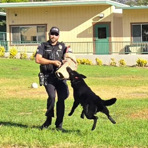 Raider demonstrates attack