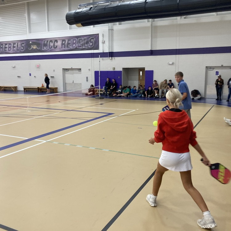 Pickle ball