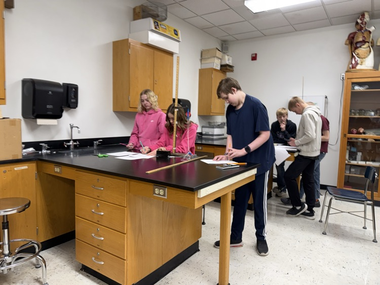 calculating work and efficiency 