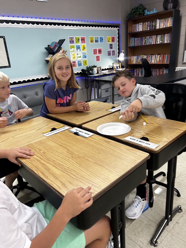 Mrs. N Paulzine's Class