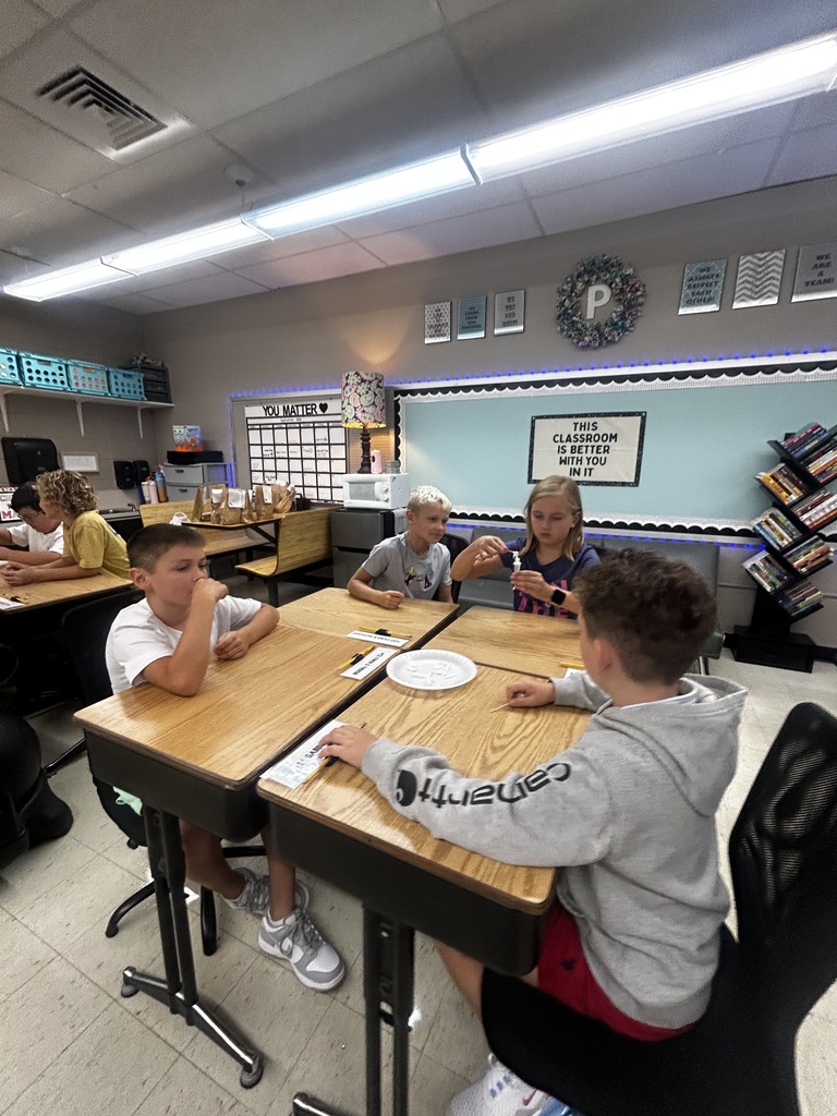 Mrs. N Paulzine's Class