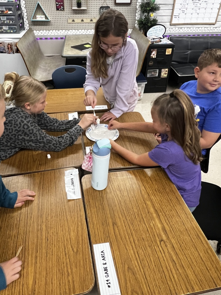 Mrs. T Paulzine's Class