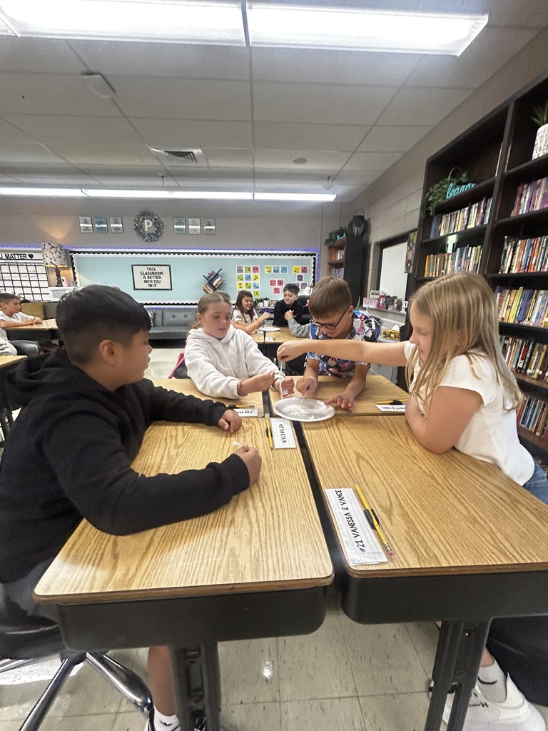 Mrs. N Paulzine's Class