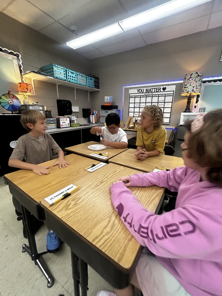 Mrs. N Paulzine's Class