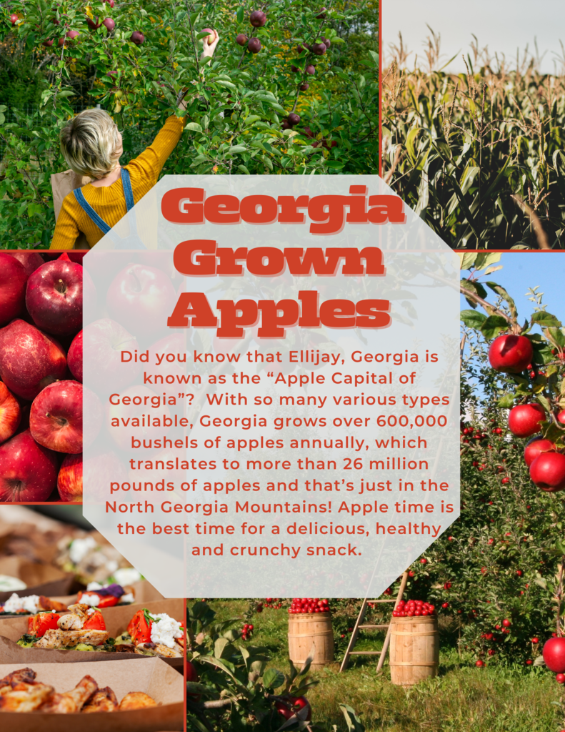 crunch for lunch flyer