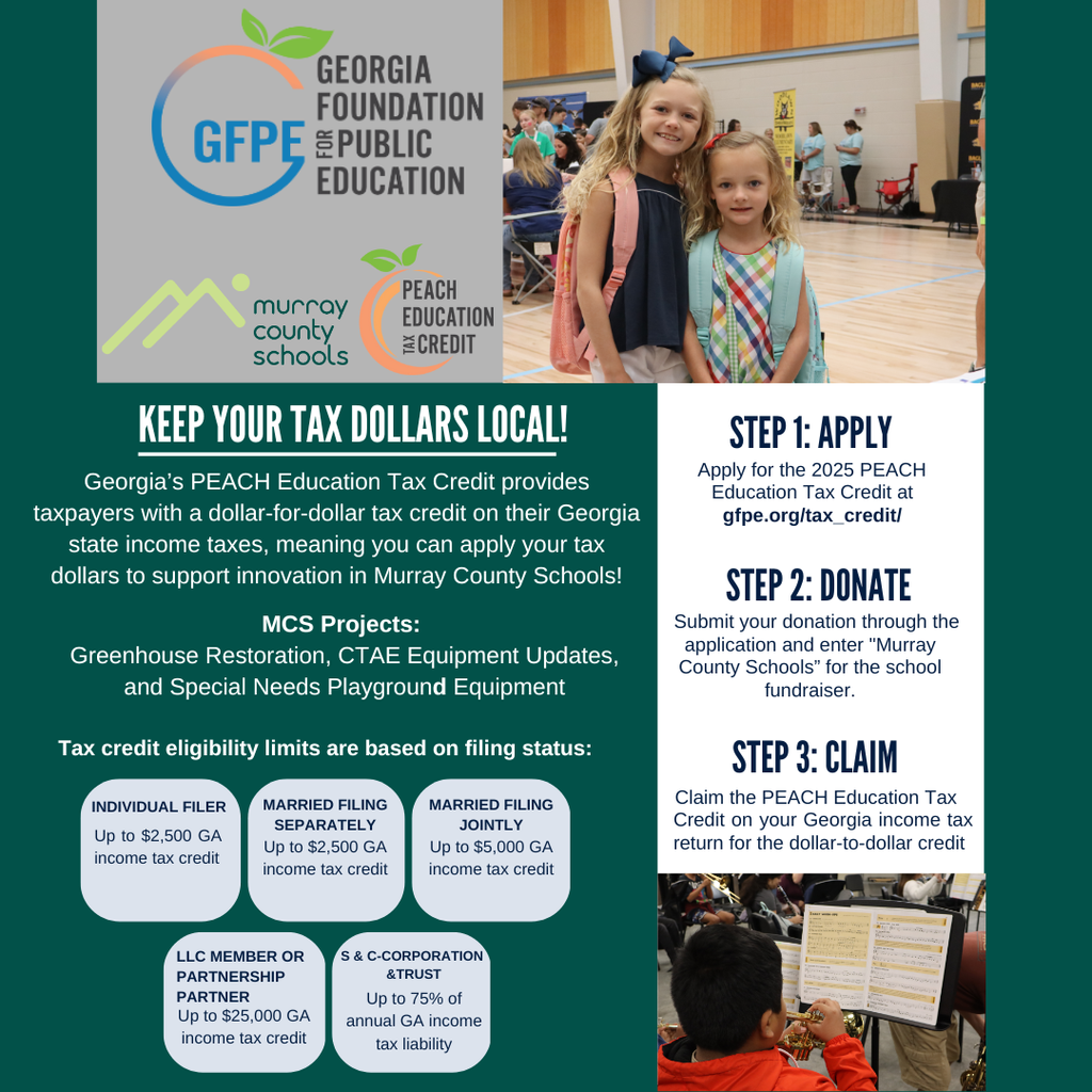 Georgia Peach Graphic